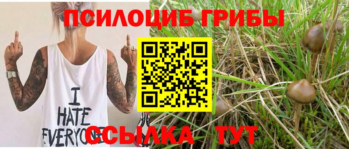 Псилоцибиновые грибы Cubensis  Псилоцибиновые грибы Magic Shrooms  закладка  Кудымкар  Вход с VPN 